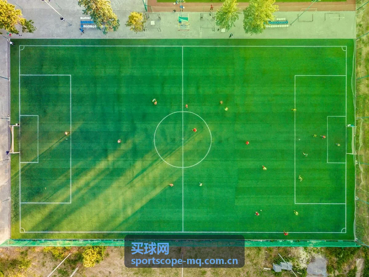 买球网赛事观察栏目中的比赛场地与观察资料