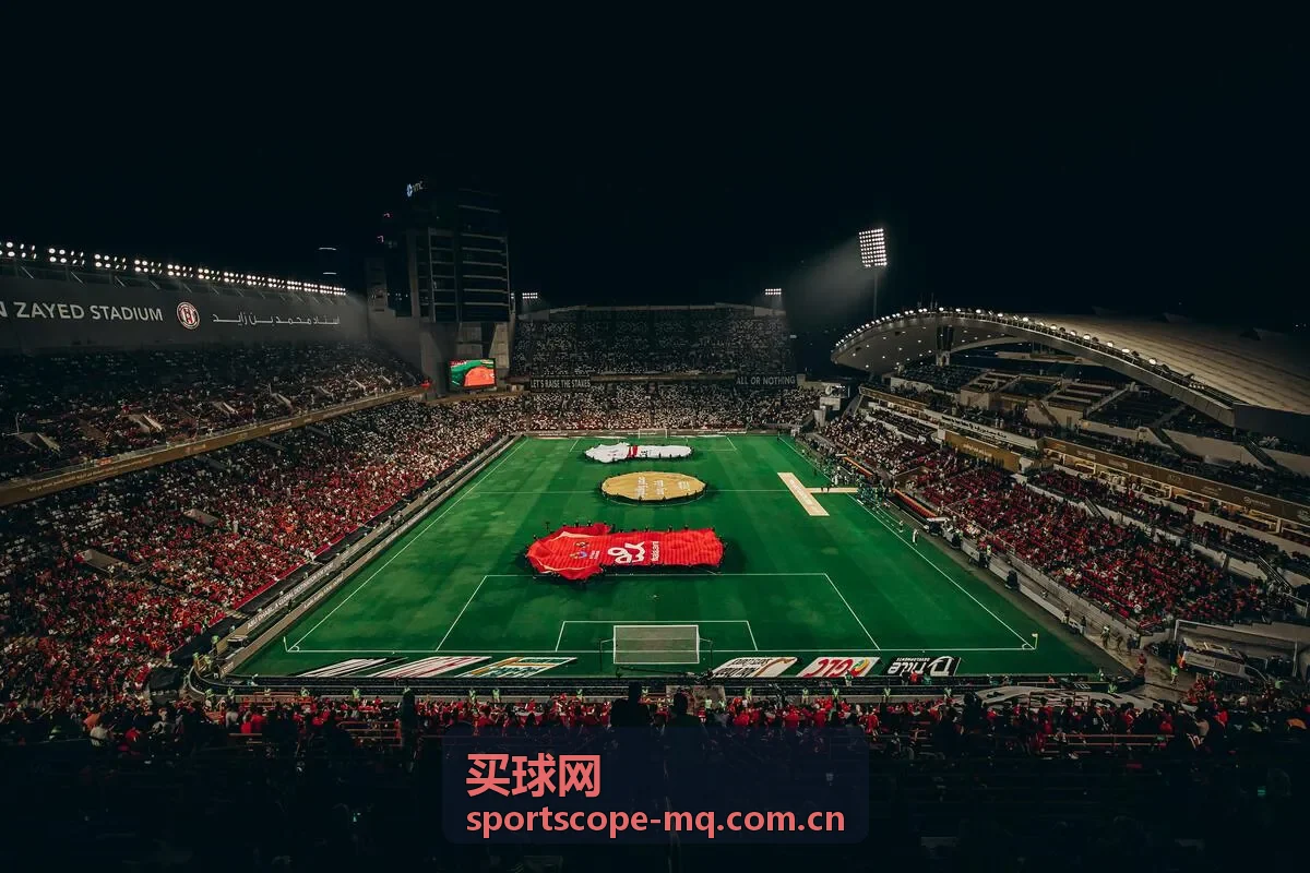 买球网规则文本阅读专题封面